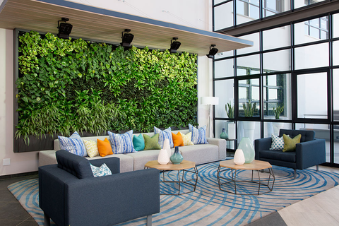 An office space with couches and a greenwall on the wall behind them
