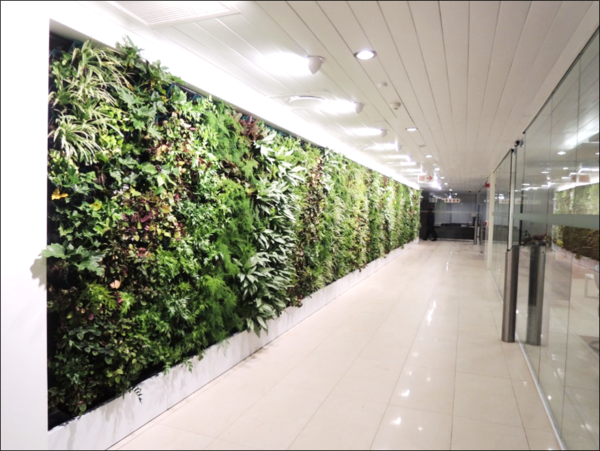 The right lighting can create a dramatic effect on your green wall