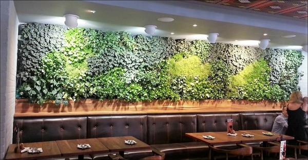 Green walls in restaurants