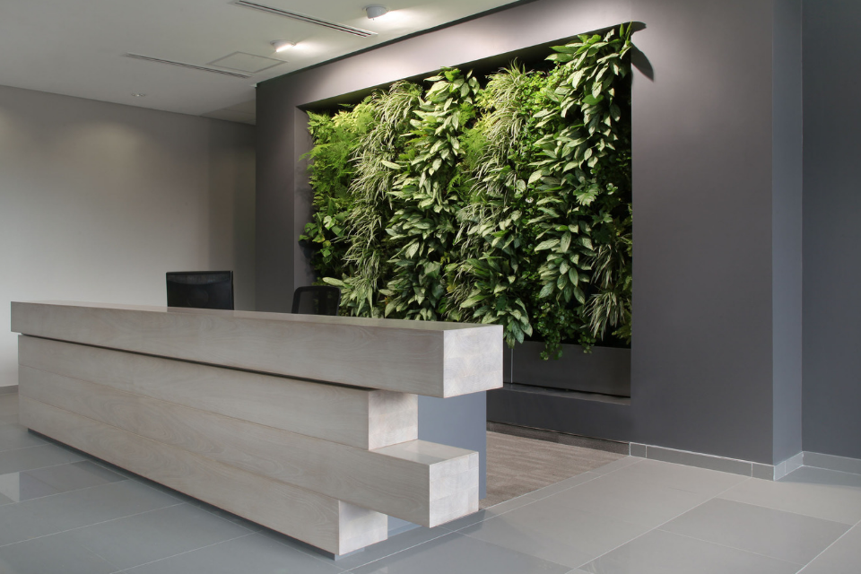 Does Your Office Have the Right Space for a Greenwall? [CHECKLIST]
