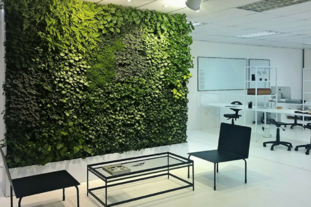 13,100+ Green Wall Office Stock Photos, Pictures & Royalty-Free Images -  iStock | Plant wall, Office plants, Living wall