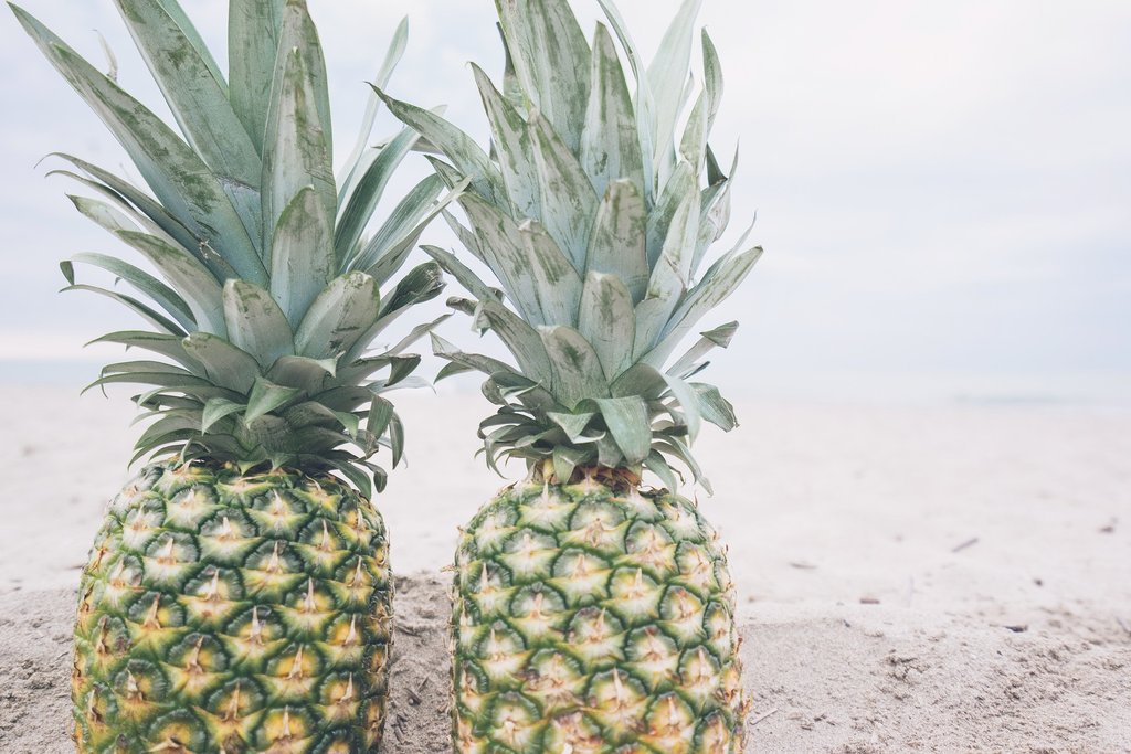 Growup vertical farming | pinapples on the beach
