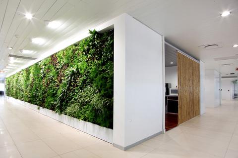 How do green walls benefit our health and the environment?