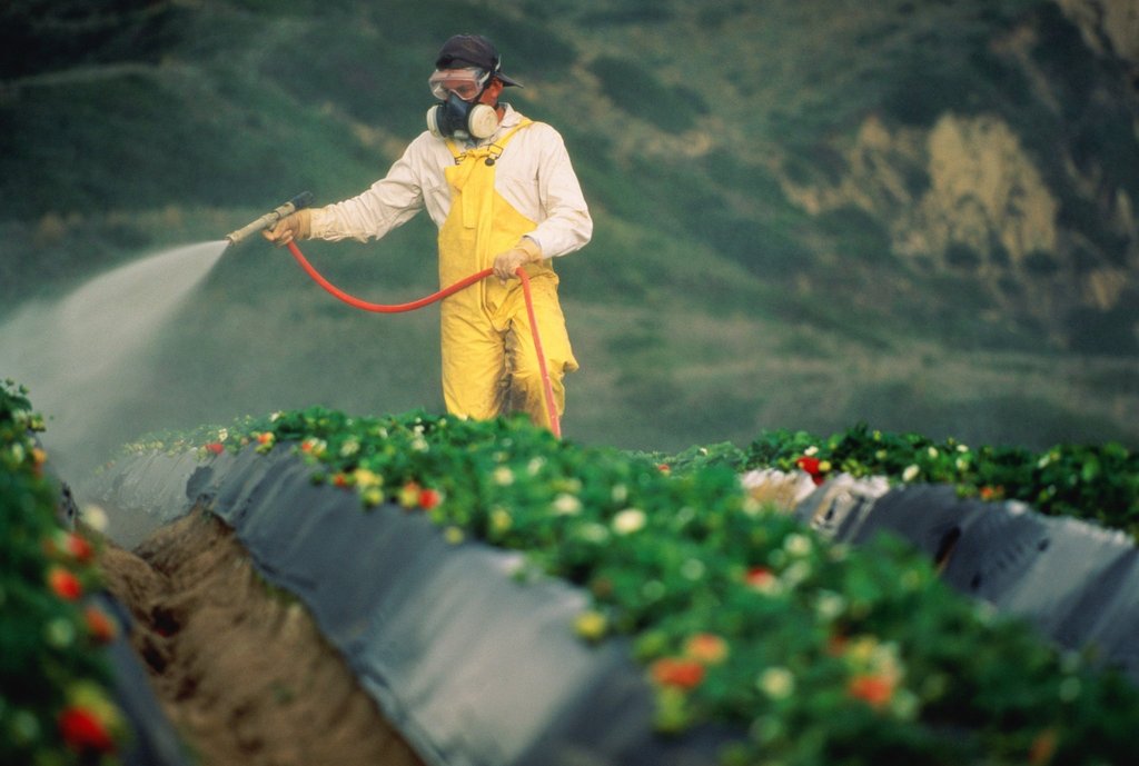 Growup vertical farming | man spraying crops with pesticides