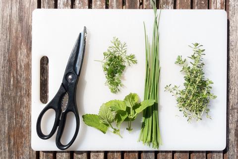 herbs on a cutting board with scissors next to them