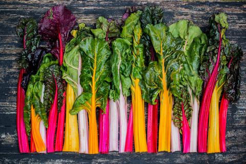 Swiss chard laid out in a row